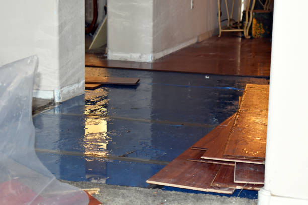 Professional Basement Flood Cleanup technician working in Mather, CA